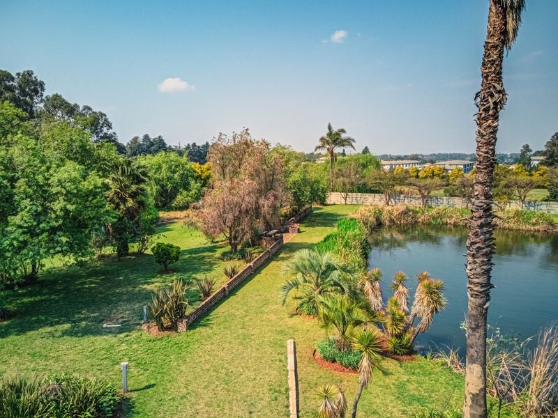 A spacious landscaped garden featuring a tranquil pond, mature palm trees, and a brick boundary wall, offering a peaceful outdoor setting.