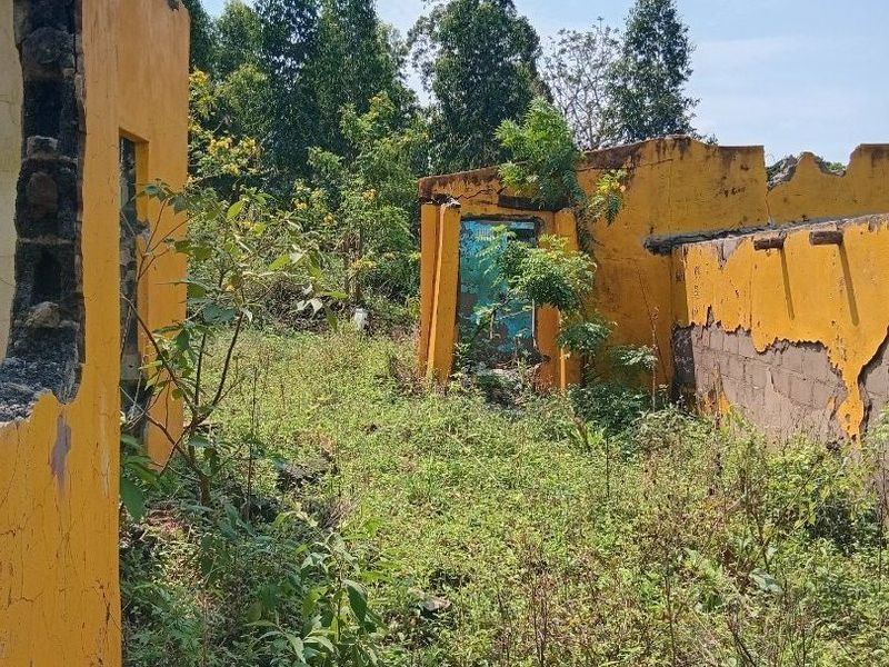 A derelict property structure with severely damaged masonry walls and missing roof, surrounded by overgrown vegetation.