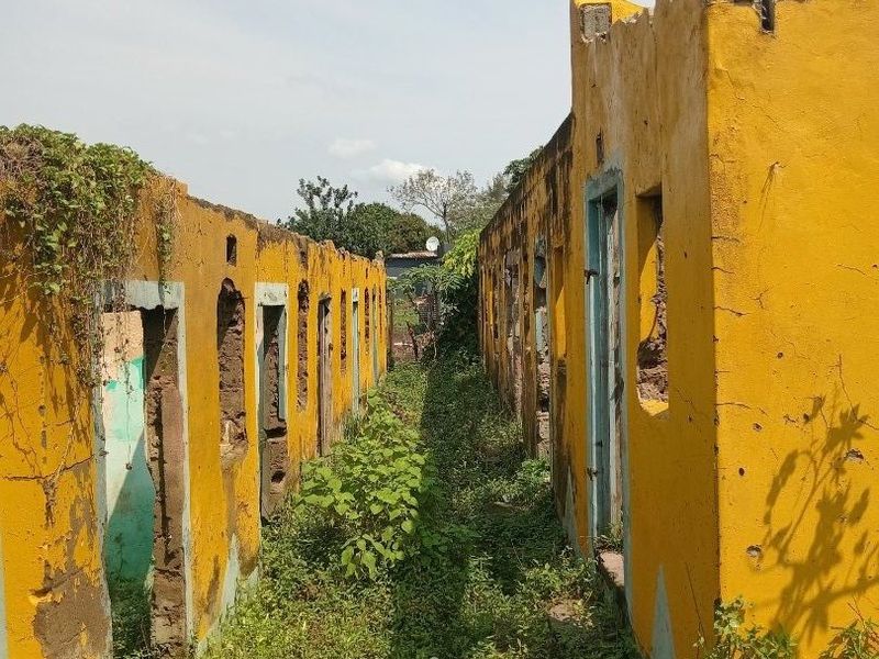 A derelict exterior corridor showing severe structural decay, missing roof and wall sections, and significant overgrowth between two ruined building structures.