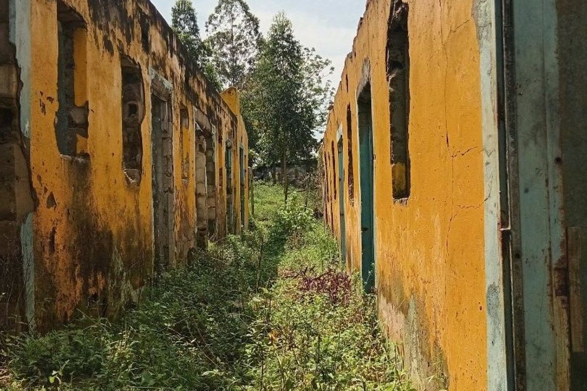Exterior view of a dilapidated building structure with severely weathered masonry walls and missing window frames, surrounded by overgrown vegetation.