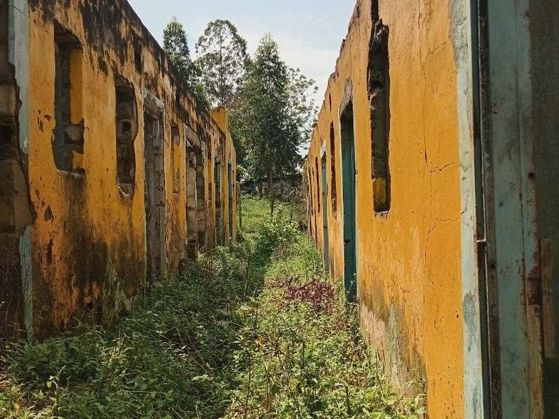 Exterior view of a dilapidated building structure with severely weathered masonry walls and missing window frames, surrounded by overgrown vegetation.