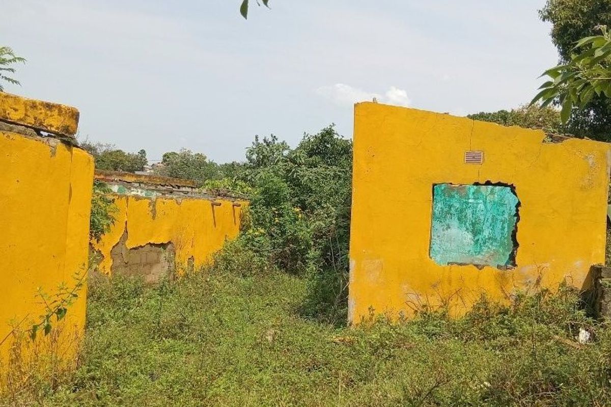 A derelict property site featuring crumbling yellow masonry walls and significant overgrowth, indicating a structure in a state of severe disrepair.