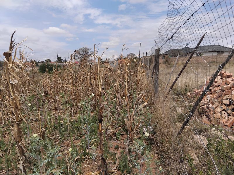 A view of a vacant residential plot featuring dry vegetation and damaged wire mesh perimeter fencing.
