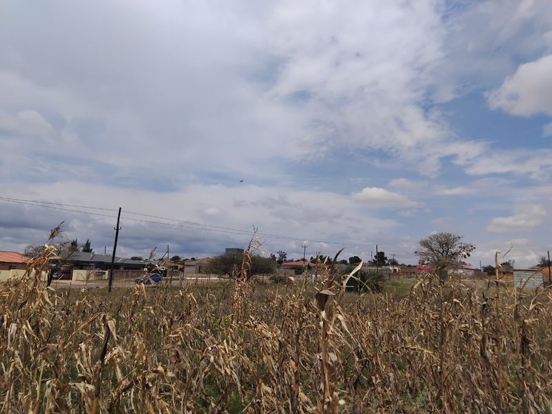 A view of a vacant residential plot featuring dry vegetation, overhead power lines, and surrounding neighborhood properties in the distance.
