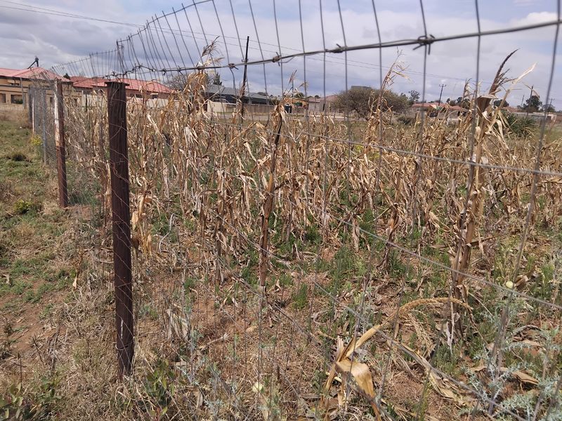 A view of a vacant residential plot enclosed by wire mesh fencing with metal posts, featuring dry vegetation and surrounding neighborhood houses.