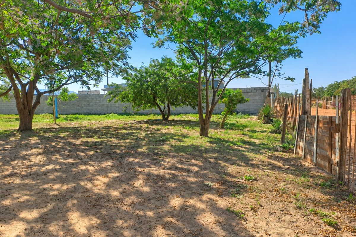A spacious, undeveloped garden area featuring mature trees, a concrete block boundary wall, and rustic wooden fencing.