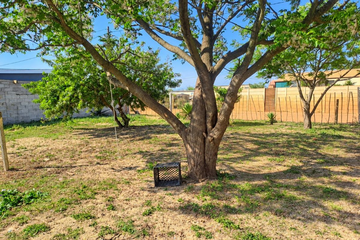 A spacious backyard area featuring mature trees and perimeter wall fencing, offering a blank canvas for landscaping potential.