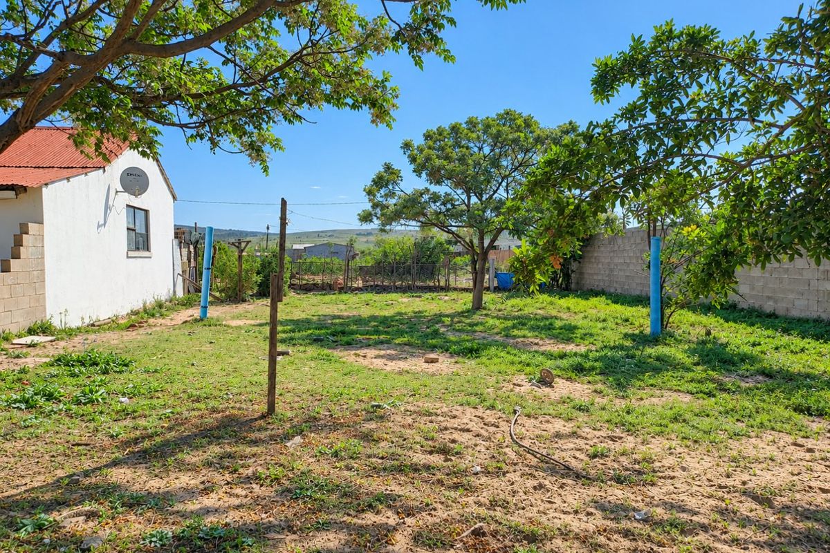 A spacious backyard area featuring a concrete block boundary wall, mature trees, and a simple lawn, offering potential for landscaping and outdoor development.