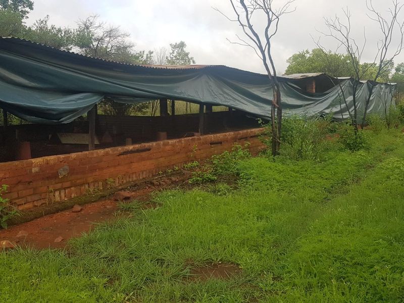 An outdoor utility structure or animal enclosure featuring brick walls, wire mesh, and a damaged corrugated metal roof, situated in a rural farm setting.