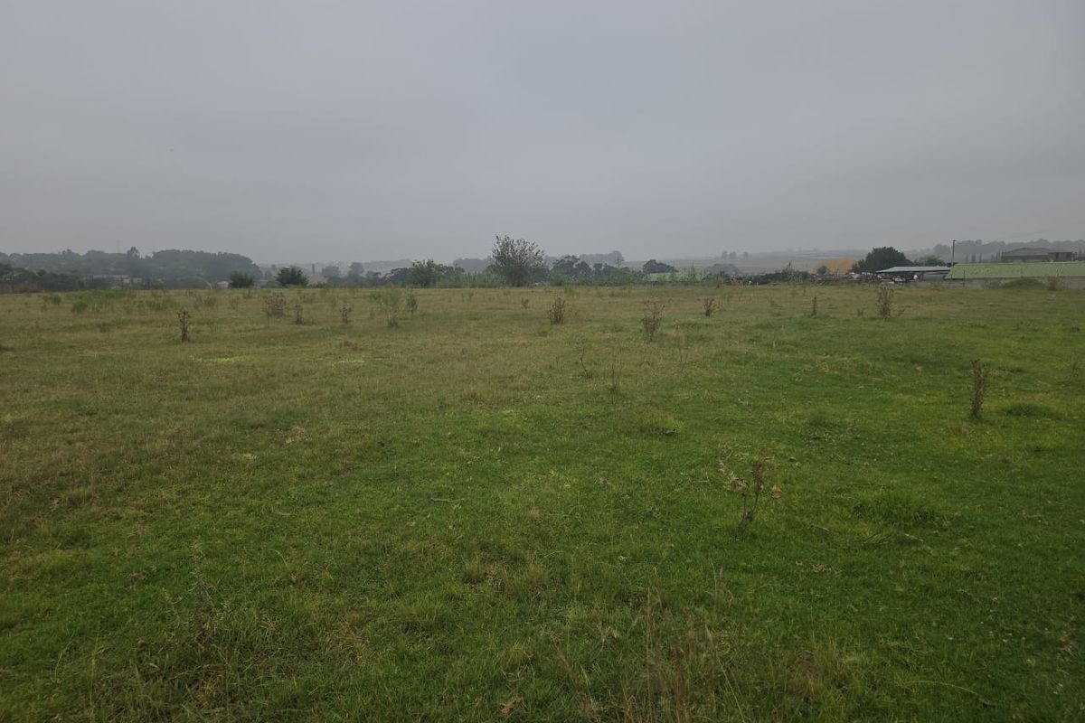 A wide-angle view of a vacant residential plot featuring open grassland under an overcast sky.