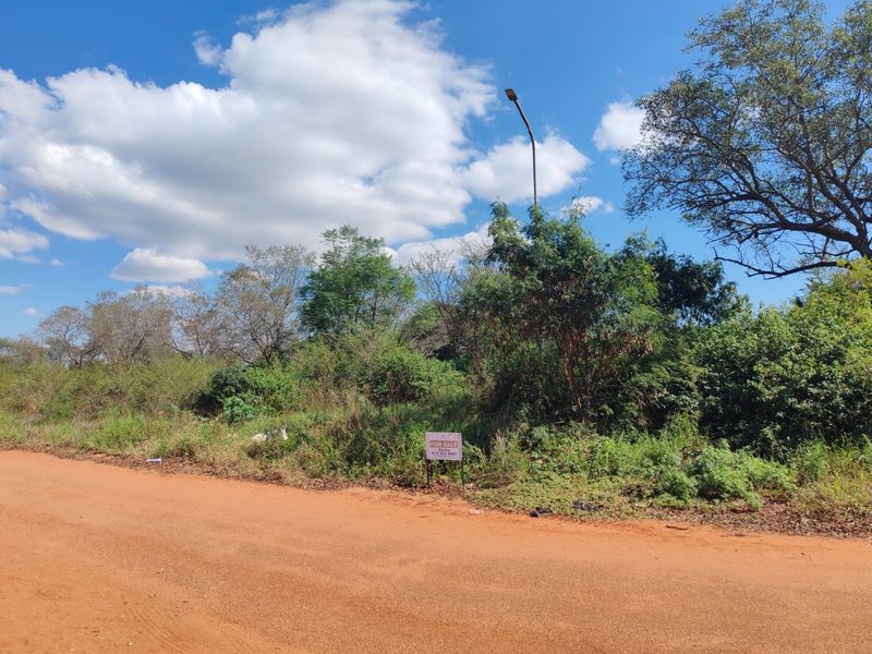 A view of a vacant residential plot featuring natural vegetation and access from an unpaved road.