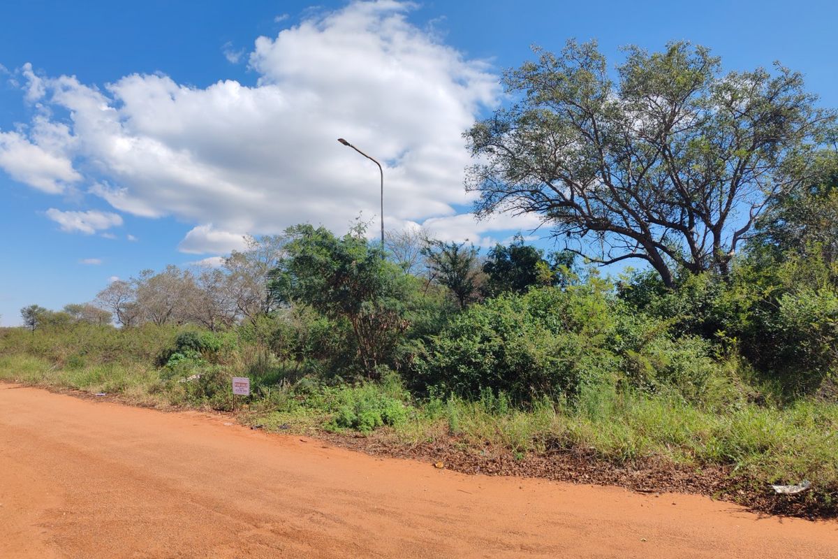 A view of the vacant residential land from the adjacent unpaved road, featuring natural vegetation and an existing street light.
