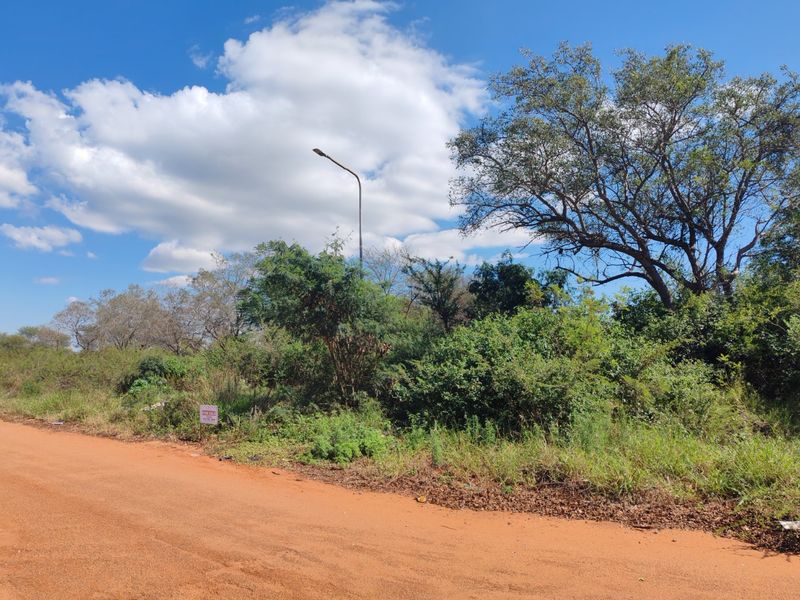A view of the vacant residential land from the adjacent unpaved road, featuring natural vegetation and an existing street light.