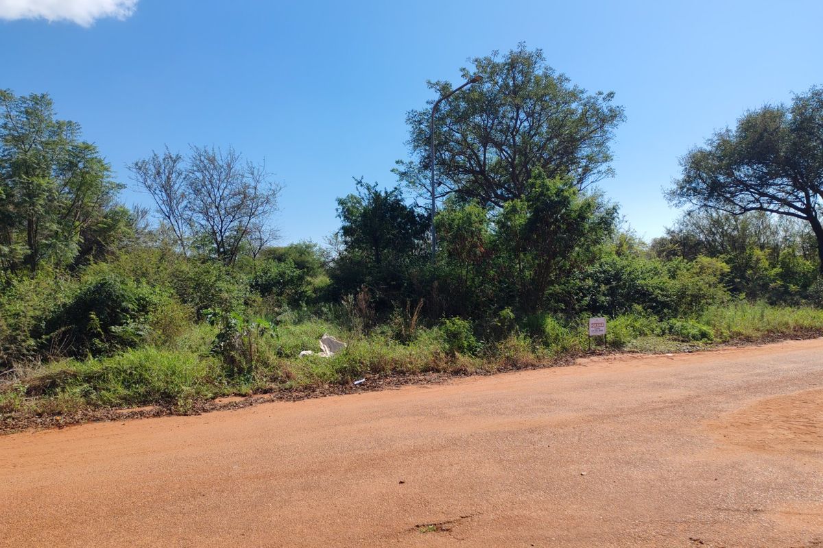 A view of a vacant residential plot from an unpaved road, featuring natural vegetation and a street light.