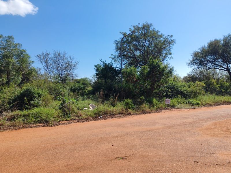 A view of a vacant residential plot from an unpaved road, featuring natural vegetation and a street light.