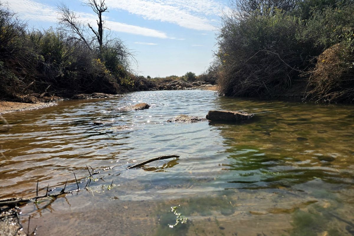 A scenic view of a natural stream flowing through the farm landscape with rocky features and native vegetation along the banks.