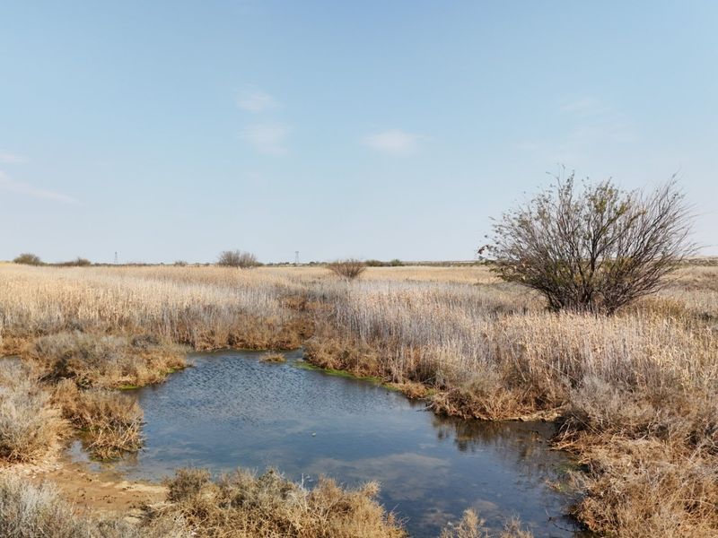 A scenic view of the farm landscape featuring a natural water pond surrounded by native reeds and dry vegetation.