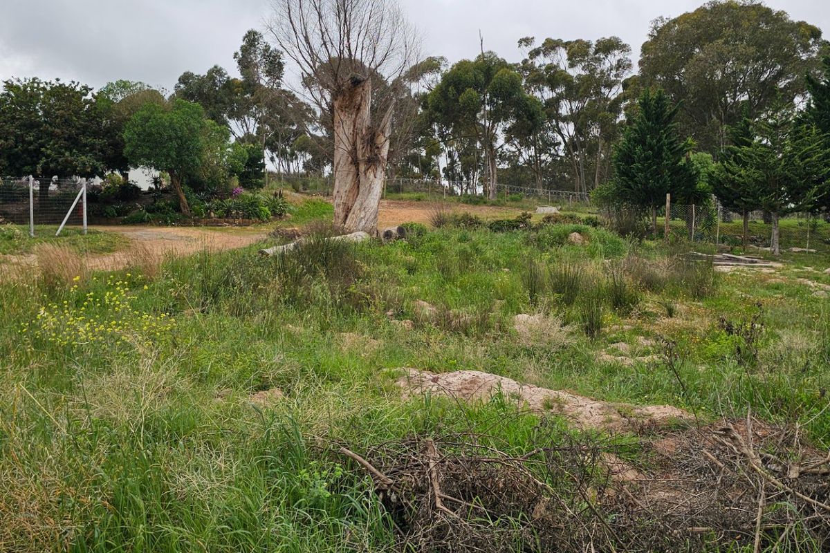 A view of a vacant residential plot featuring natural vegetation, mature trees, and perimeter wire fencing.