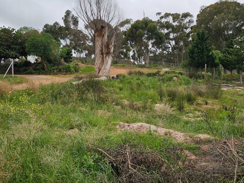 A view of a vacant residential plot featuring natural vegetation, mature trees, and perimeter wire fencing.