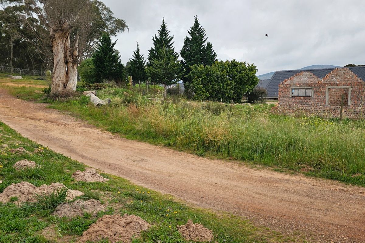 A view of a vacant residential plot featuring a dirt driveway and an incomplete brick building structure surrounded by mature trees.