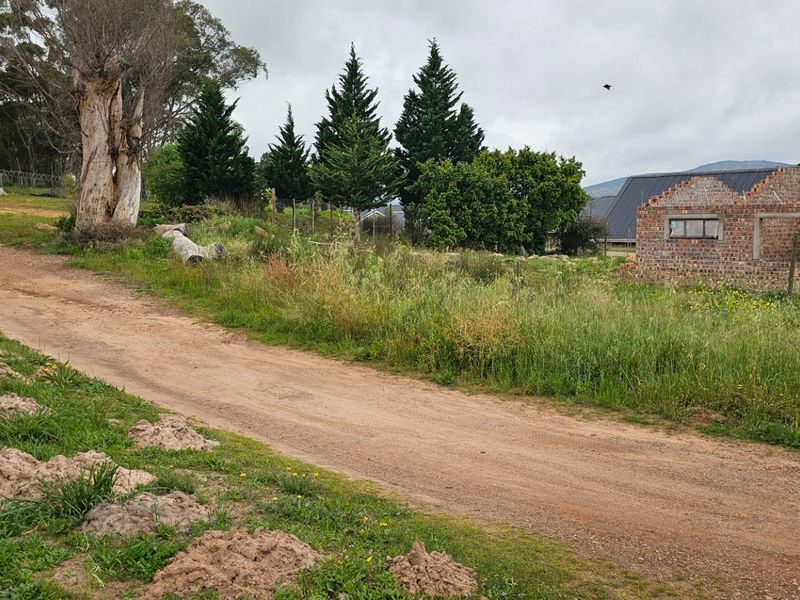 A view of a vacant residential plot featuring a dirt driveway and an incomplete brick building structure surrounded by mature trees.