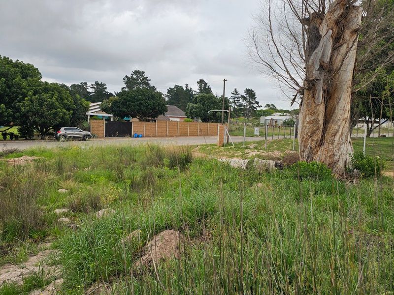 A view of a vacant residential plot featuring natural vegetation, wire fencing, and a large mature tree.