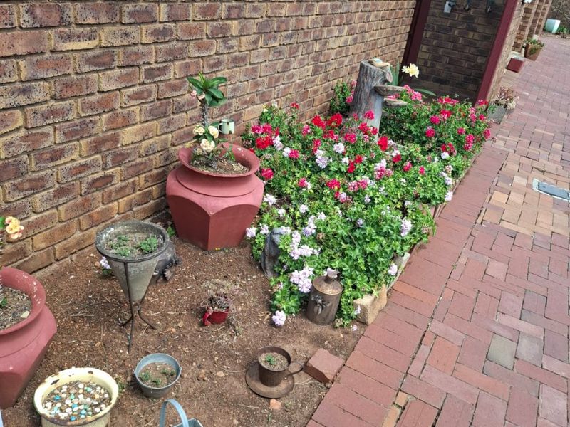 A side garden area featuring a face brick wall and a brick paved walkway with established garden beds.
