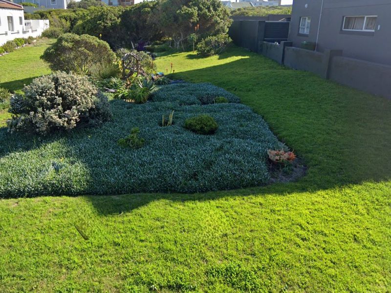 A well-maintained residential garden featuring established lawn, landscaped shrubbery, and perimeter boundary walls.