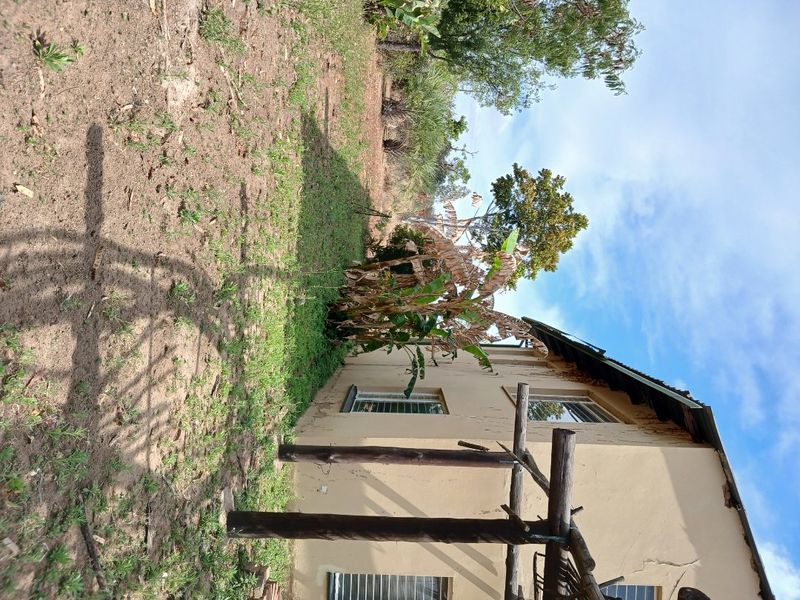 Rear exterior view of the farm property featuring a timber pergola, metal window frames, and a corrugated metal roof with visible wall plaster cracking.