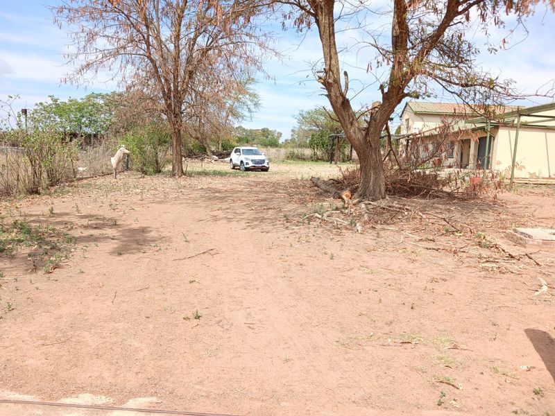 Expansive rural farm grounds featuring mature trees and a natural dirt driveway leading toward the main dwelling.