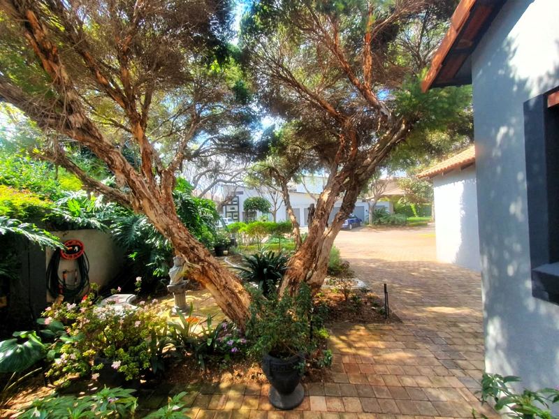 A well-maintained garden area featuring mature trees, landscaped beds, and a paved driveway leading towards the property entrance.