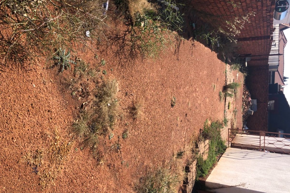 A rear outdoor area featuring a brick boundary wall and metal security gate, currently requiring landscaping and maintenance.