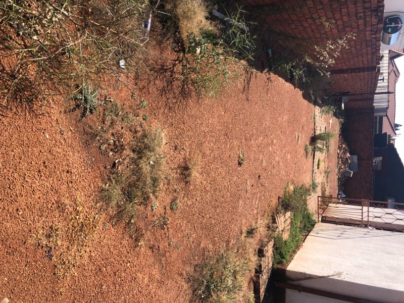 A rear outdoor area featuring a brick boundary wall and metal security gate, currently requiring landscaping and maintenance.