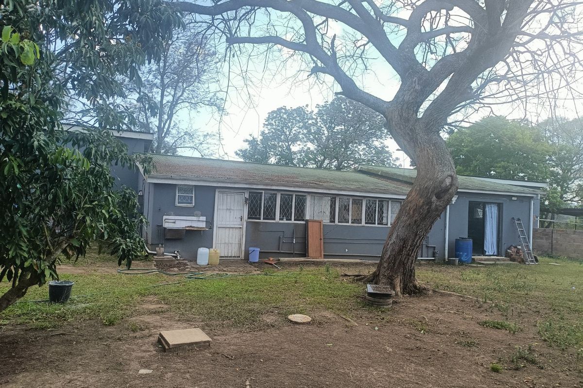 Rear view of the property featuring a garden area, mature tree, and exterior wall with leaded glass windows and a utility sink.