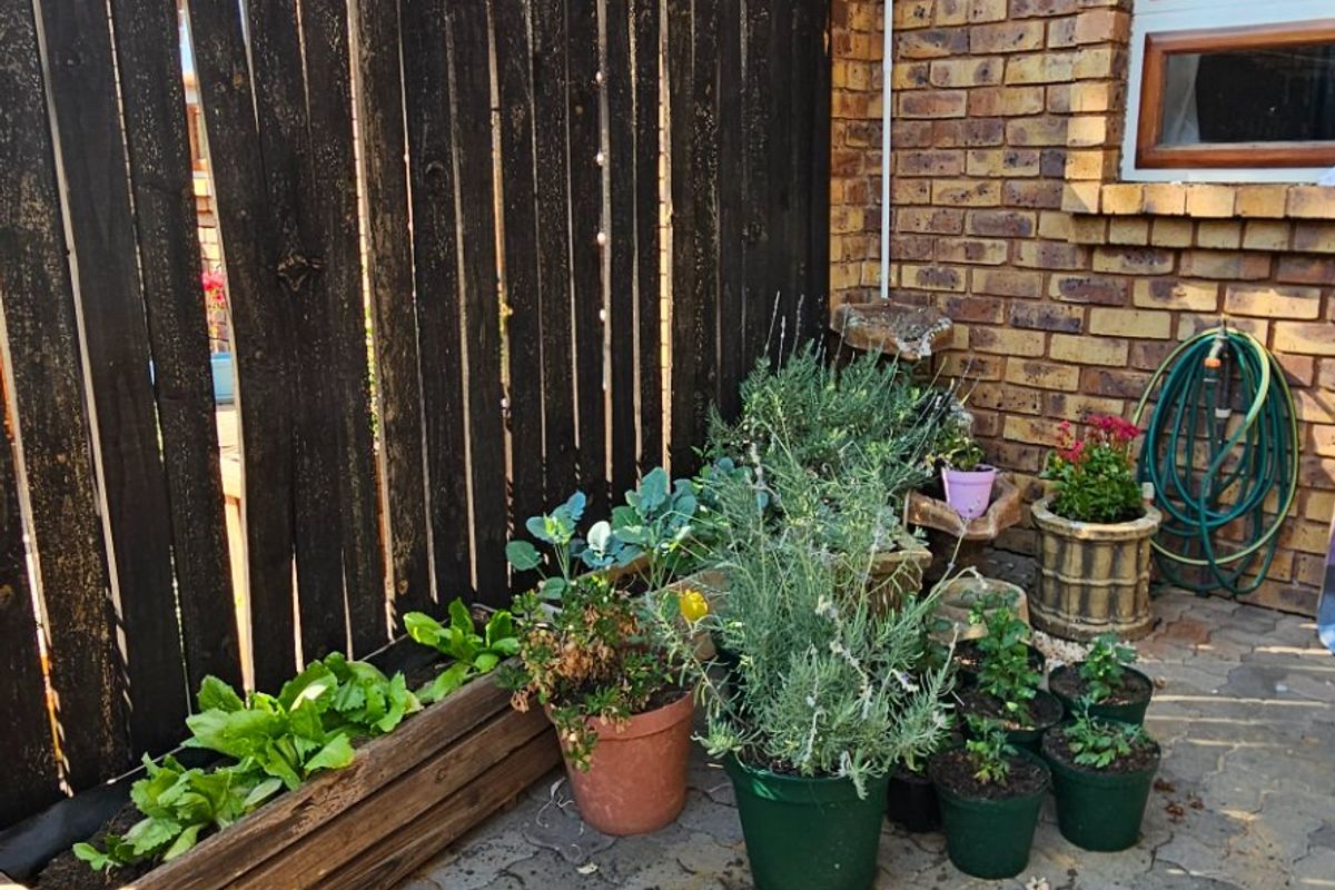 A rear exterior area featuring a paved patio, brick facade, and a timber privacy screen, providing a functional outdoor space.