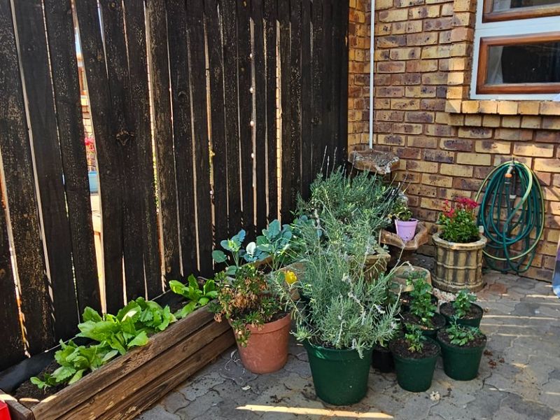 A rear exterior area featuring a paved patio, brick facade, and a timber privacy screen, providing a functional outdoor space.