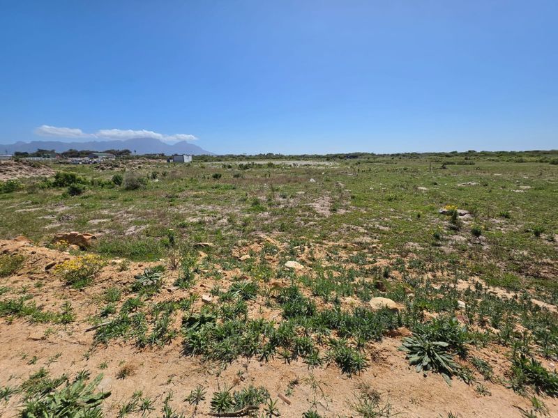 A wide-angle view of a vacant residential plot featuring natural vegetation and open space, suitable for future development.