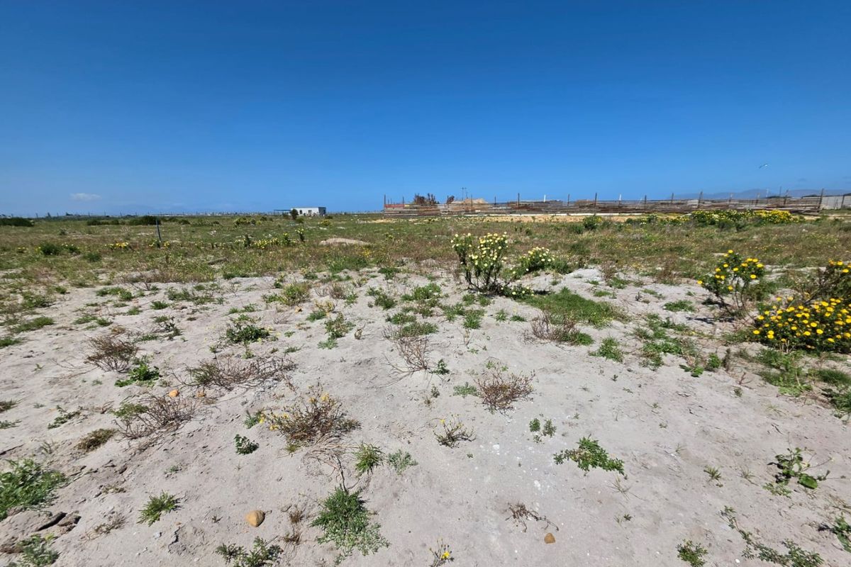 A wide-angle view of a vacant residential plot featuring sandy terrain and natural coastal vegetation under a clear blue sky.