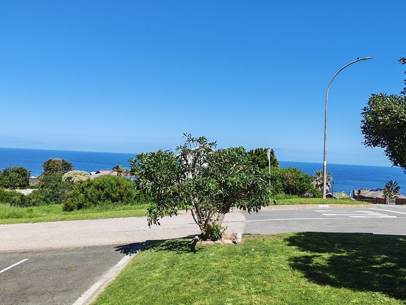 A scenic view overlooking the coastline, featuring a clear blue ocean horizon, paved street access, and established greenery.