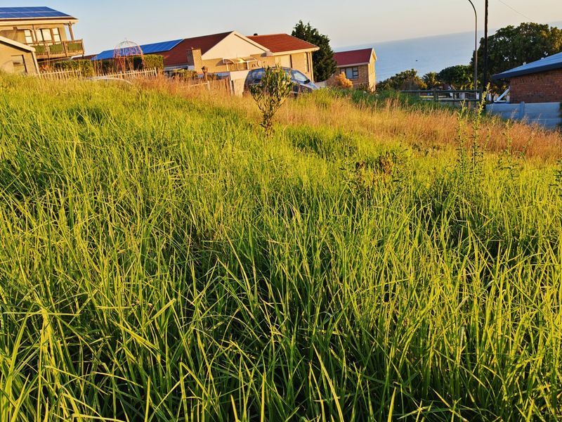 A view of a sloped, undeveloped residential plot covered in tall grass, situated in a suburban neighborhood with surrounding homes.