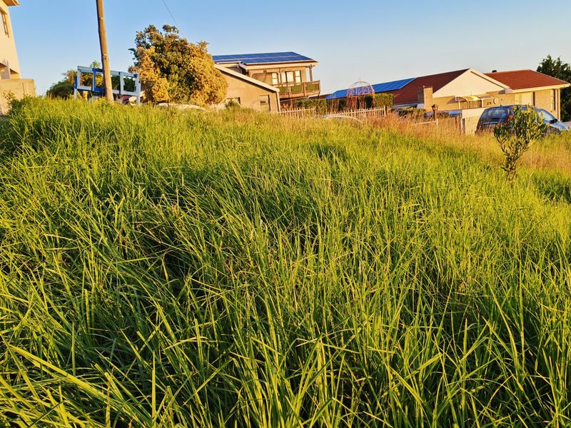 A view of a vacant residential plot featuring sloped, grass-covered terrain with surrounding neighborhood houses visible in the background.