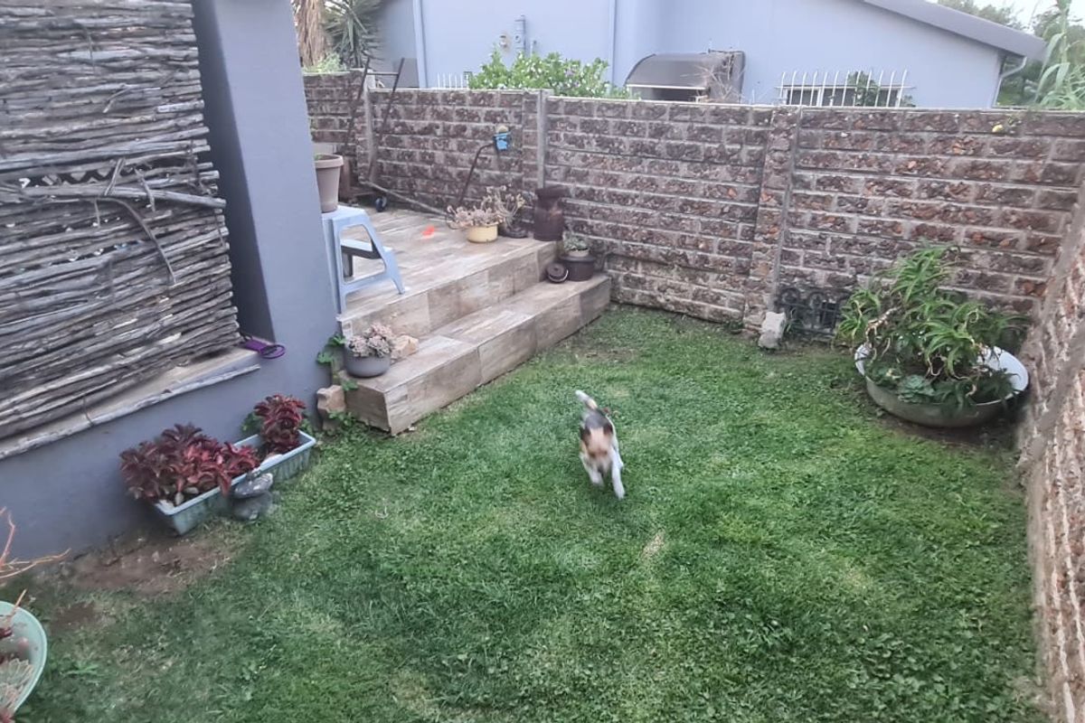 A private rear garden featuring a small lawn, tiled patio steps, and brick boundary walls with integrated outdoor lighting.