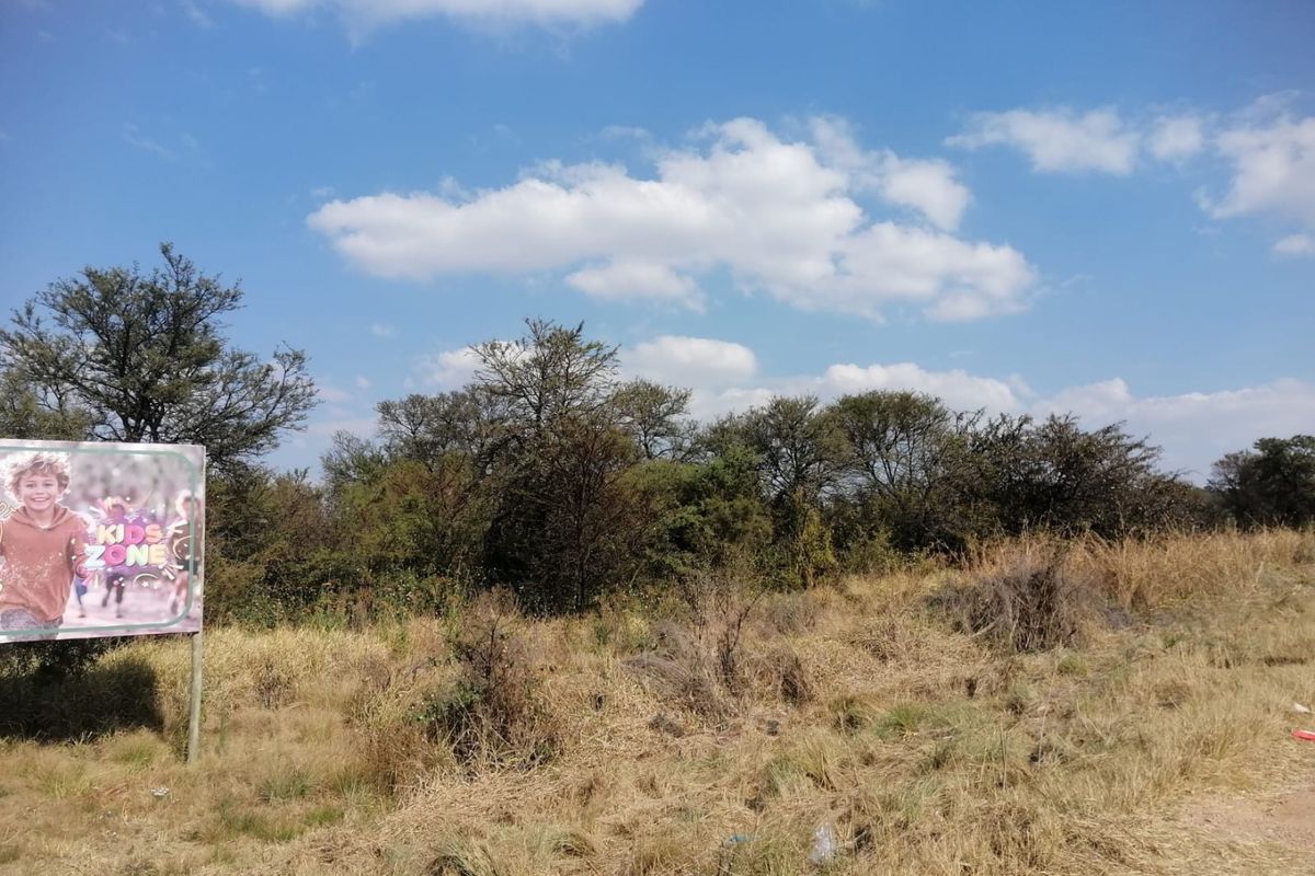 An open, undeveloped farm land area featuring natural grass and indigenous trees under a clear blue sky.