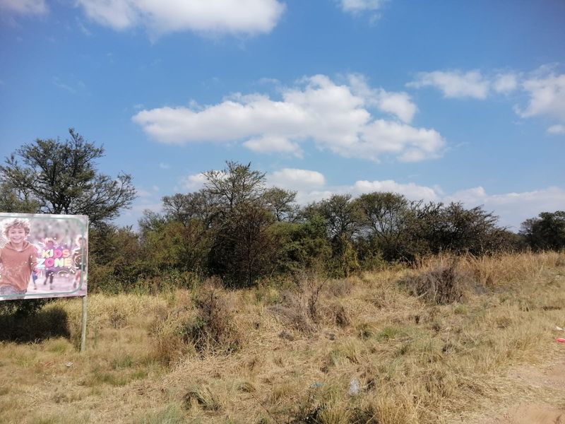 An open, undeveloped farm land area featuring natural grass and indigenous trees under a clear blue sky.
