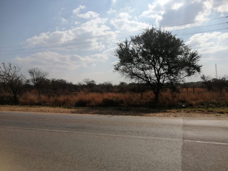 A view of the property frontage from the adjacent asphalt road, featuring natural vegetation and overhead power lines.