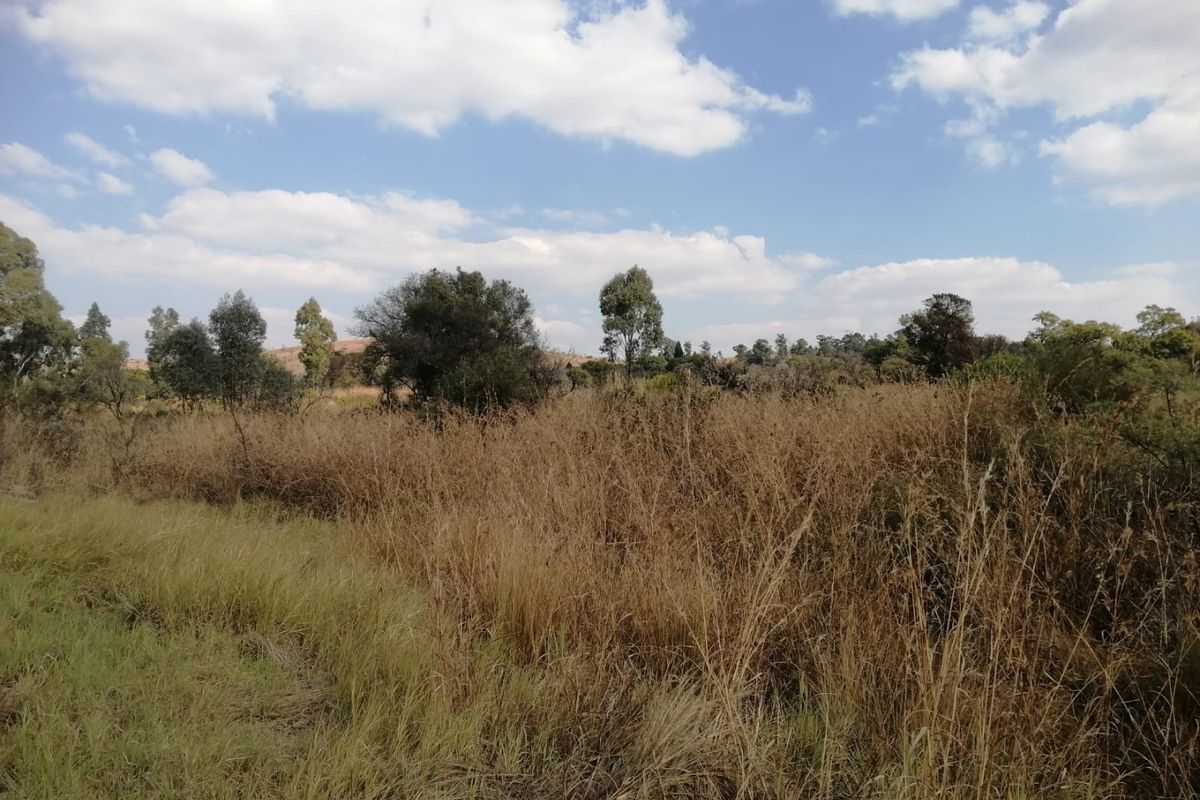 A view of the expansive, undeveloped natural landscape and dry grassland on the farm property under a clear blue sky.
