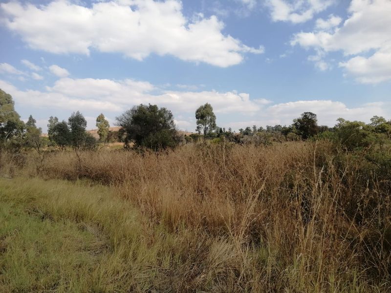 A view of the expansive, undeveloped natural landscape and dry grassland on the farm property under a clear blue sky.