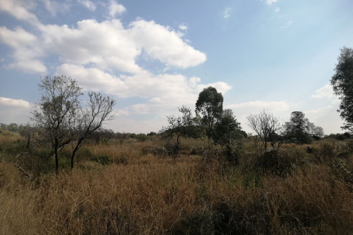 A view of a vacant residential plot featuring natural dry grass and scattered mature trees under a clear blue sky.