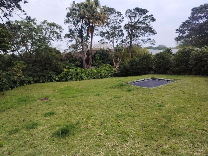 A spacious, well-established garden featuring mature trees and a sunken in-ground trampoline, offering a private and green outdoor setting.