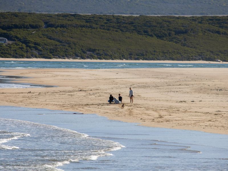 A scenic view of the sandy beach and coastline, highlighting the natural landscape and proximity to the ocean.